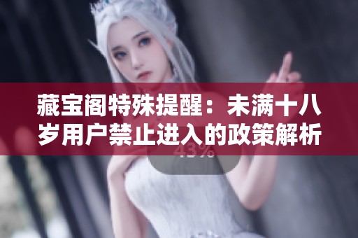 藏寶閣特殊提醒：未滿十八歲用戶禁止進(jìn)入的政策解析