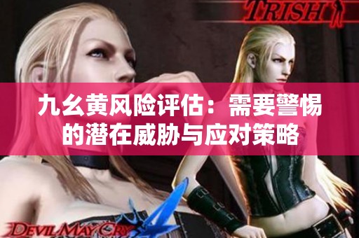 九幺黃風(fēng)險(xiǎn)評(píng)估：需要警惕的潛在威脅與應(yīng)對(duì)策略
