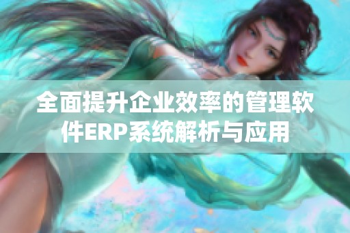 全面提升企業效率的管理軟件ERP系統解析與應用