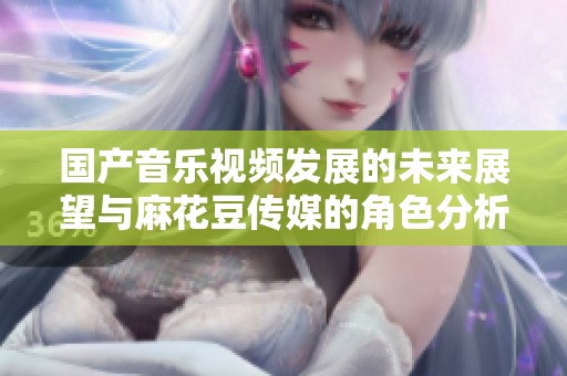 國產(chǎn)音樂視頻發(fā)展的未來展望與麻花豆傳媒的角色分析