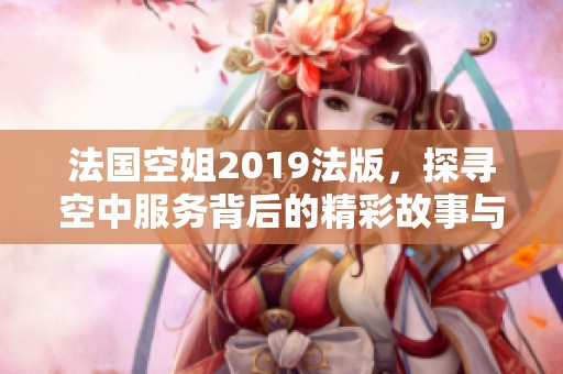 法國空姐2019法版，探尋空中服務背后的精彩故事與挑戰