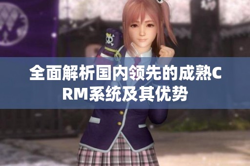 全面解析國內領先的成熟CRM系統及其優勢