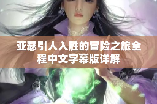 亞瑟引人入勝的冒險之旅全程中文字幕版詳解