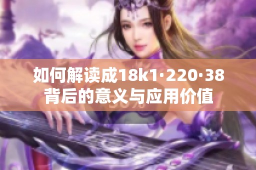 如何解讀成18k1·220·38背后的意義與應用價值