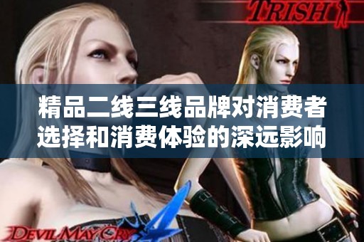 精品二線三線品牌對(duì)消費(fèi)者選擇和消費(fèi)體驗(yàn)的深遠(yuǎn)影響