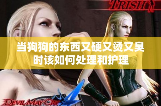 當狗狗的東西又硬又燙又臭時該如何處理和護理