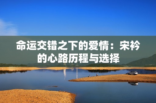 命運(yùn)交錯之下的愛情：宋衿的心路歷程與選擇