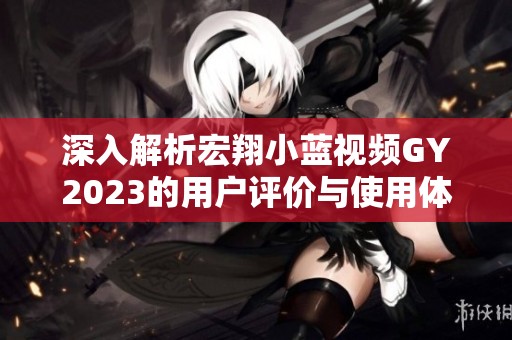 深入解析宏翔小藍(lán)視頻GY2023的用戶評(píng)價(jià)與使用體驗(yàn)