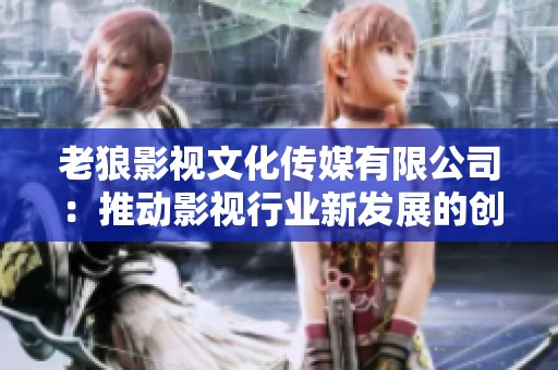 老狼影視文化傳媒有限公司：推動影視行業新發展的創新力量