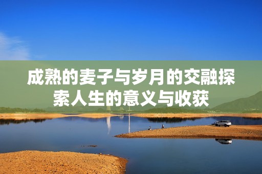 成熟的麥子與歲月的交融探索人生的意義與收獲