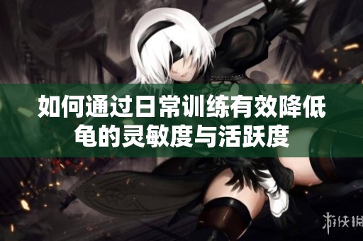 如何通過日常訓練有效降低龜的靈敏度與活躍度
