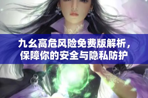 九幺高危風險免費版解析，保障你的安全與隱私防護