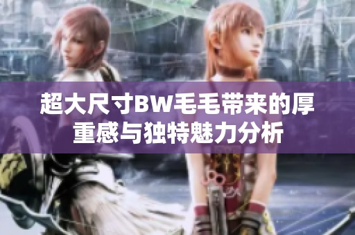 超大尺寸BW毛毛帶來的厚重感與獨特魅力分析