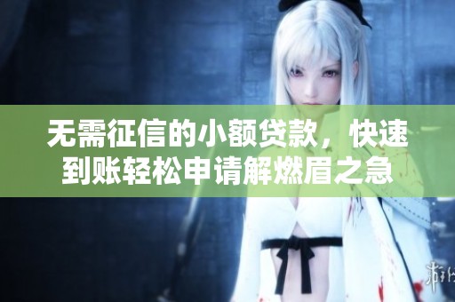 無需征信的小額貸款，快速到賬輕松申請解燃眉之急