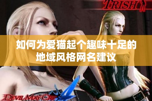 如何為愛貓起個趣味十足的地域風(fēng)格網(wǎng)名建議