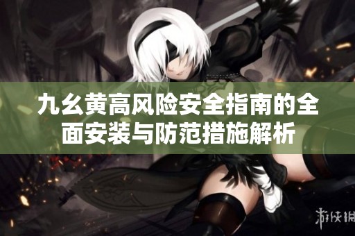 九幺黃高風(fēng)險(xiǎn)安全指南的全面安裝與防范措施解析