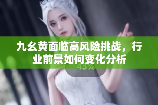 九幺黃面臨高風險挑戰，行業前景如何變化分析