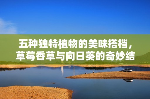 五種獨(dú)特植物的美味搭檔，草莓香草與向日葵的奇妙結(jié)合