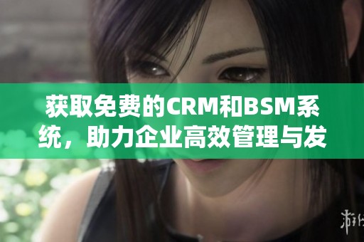 獲取免費的CRM和BSM系統，助力企業高效管理與發展