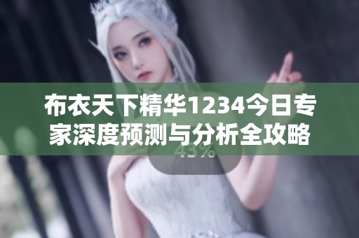 布衣天下精華1234今日專家深度預測與分析全攻略