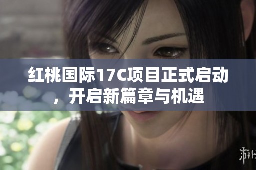 紅桃國際17C項目正式啟動，開啟新篇章與機(jī)遇