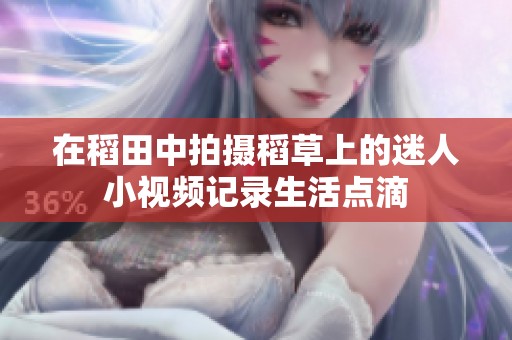 在稻田中拍攝稻草上的迷人小視頻記錄生活點滴