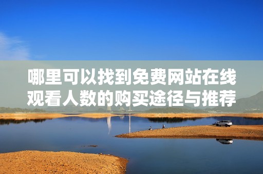 哪里可以找到免費網站在線觀看人數的購買途徑與推薦