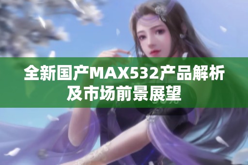 全新國產MAX532產品解析及市場前景展望