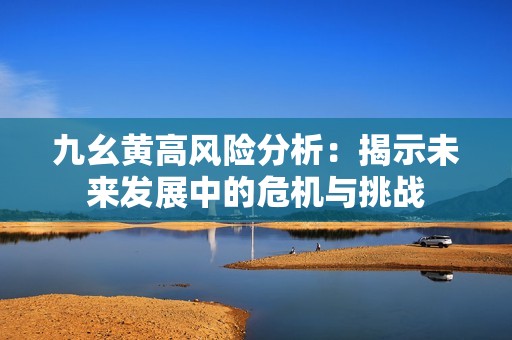 九幺黃高風險分析：揭示未來發展中的危機與挑戰