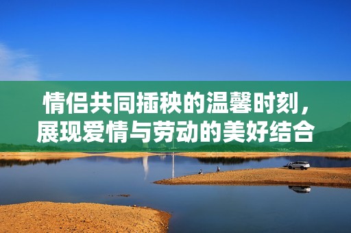 情侶共同插秧的溫馨時刻，展現愛情與勞動的美好結合