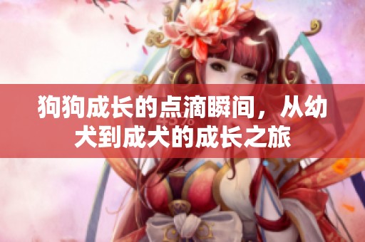 狗狗成長的點(diǎn)滴瞬間，從幼犬到成犬的成長之旅