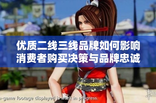 優質二線三線品牌如何影響消費者購買決策與品牌忠誠度