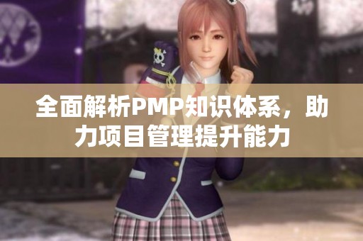 全面解析PMP知識(shí)體系，助力項(xiàng)目管理提升能力