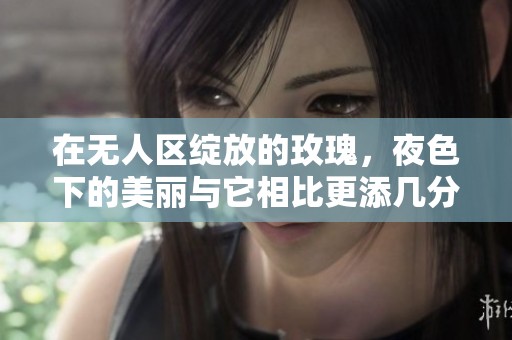 在無人區(qū)綻放的玫瑰，夜色下的美麗與它相比更添幾分動(dòng)人