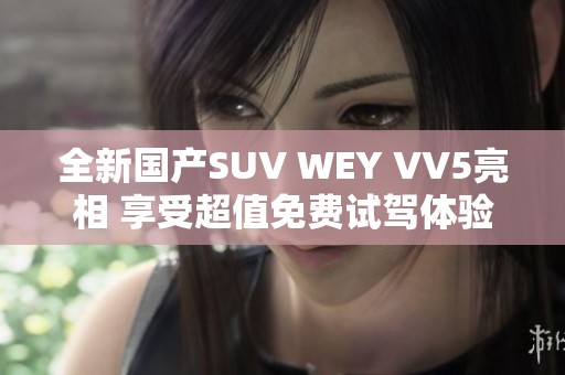 全新國產SUV WEY VV5亮相 享受超值免費試駕體驗