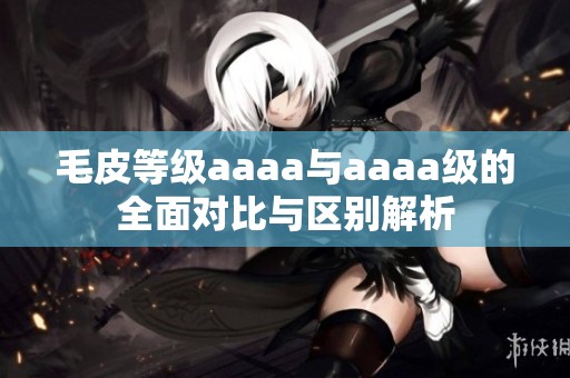 毛皮等級aaaa與aaaa級的全面對比與區別解析