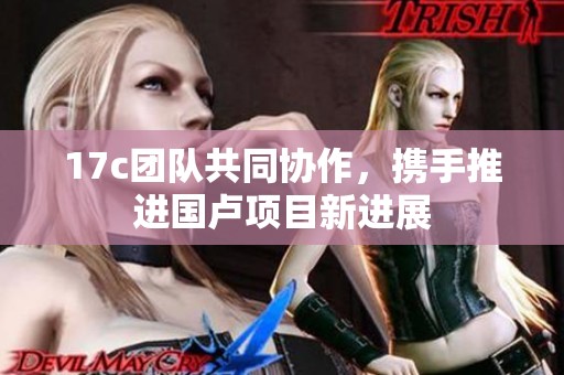17c團隊共同協作，攜手推進國盧項目新進展