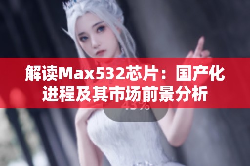 解讀Max532芯片：國產化進程及其市場前景分析