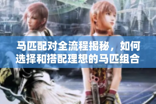 馬匹配對(duì)全流程揭秘，如何選擇和搭配理想的馬匹組合