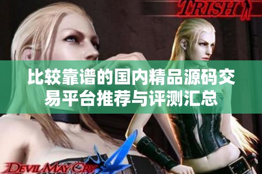 比較靠譜的國(guó)內(nèi)精品源碼交易平臺(tái)推薦與評(píng)測(cè)匯總