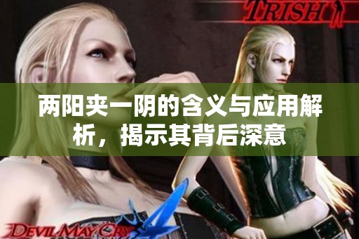 兩陽夾一陰的含義與應用解析，揭示其背后深意