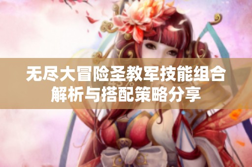 無盡大冒險圣教軍技能組合解析與搭配策略分享