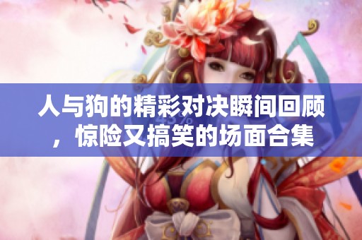 人與狗的精彩對決瞬間回顧，驚險又搞笑的場面合集