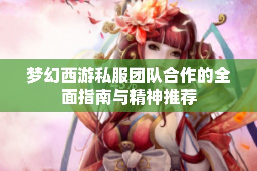 夢幻西游私服團隊合作的全面指南與精神推薦