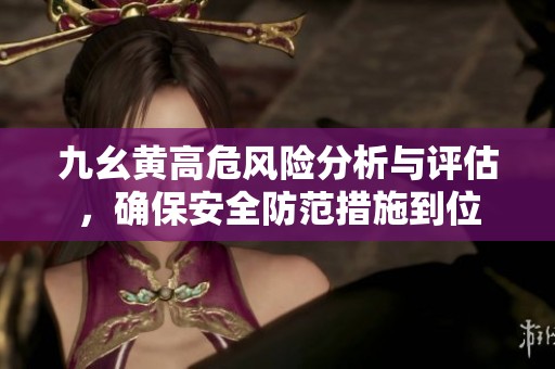 九幺黃高危風險分析與評估，確保安全防范措施到位
