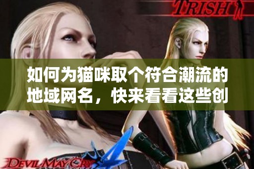 如何為貓咪取個符合潮流的地域網名，快來看看這些創意建議吧
