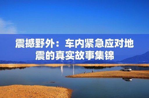 震撼野外：車內緊急應對地震的真實故事集錦
