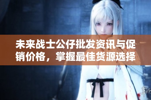 未來戰士公仔批發資訊與促銷價格，掌握最佳貨源選擇