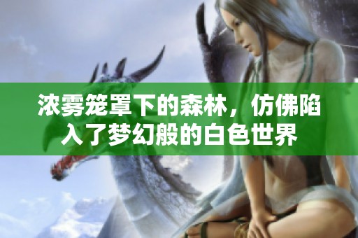濃霧籠罩下的森林，仿佛陷入了夢幻般的白色世界
