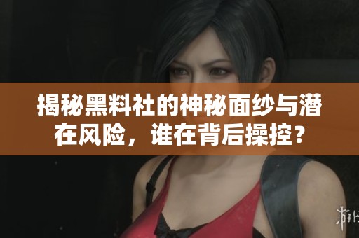 揭秘黑料社的神秘面紗與潛在風(fēng)險(xiǎn)，誰(shuí)在背后操控？